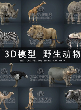 H521-C4D/MAYA/3DMAX 犀牛狮子长颈鹿河马鸵鸟动物3D模型素材