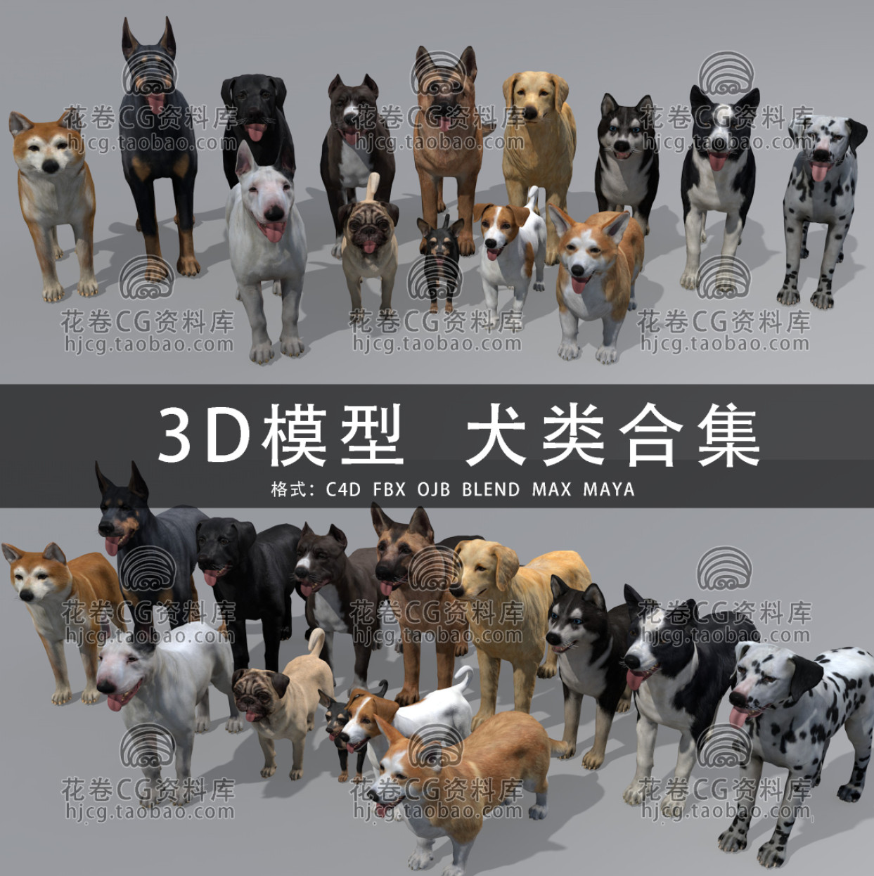 G869-C4D/MAYA/3DMAX三维素材宠物狗犬类合集柯基杜宾3D模型素材