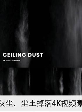 灰尘 尘土掉落4K视频素材AE/PR/FCPX视频素材 SC064