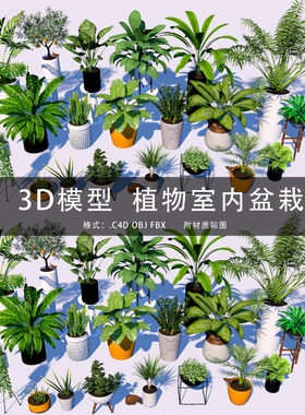 G304-C4D/MAYA/3DMAX 植物盆栽室内盆景 C4D三维模型工程