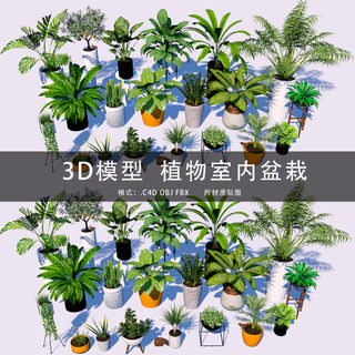 G304-C4D/MAYA/3DMAX 植物盆栽室内盆景 C4D三维模型工程