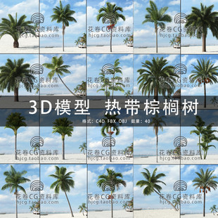 40款 C4D MAYA 3DMAX三维模型 3D模型素材 热带棕榈树椰子树