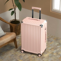 Порошок сакура/устойчивая царапина и устойчивый