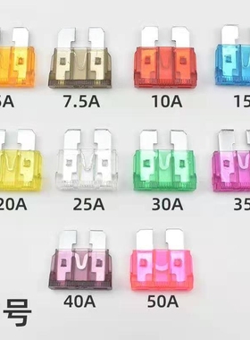 逆变器保险丝插片30安40a50A逆变器12v24v48v保险丝汽车保险片