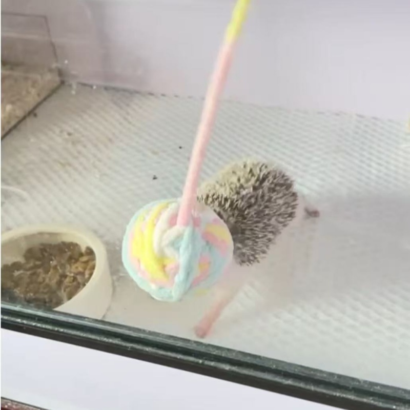 刺猬毛线铃铛球互动玩具
