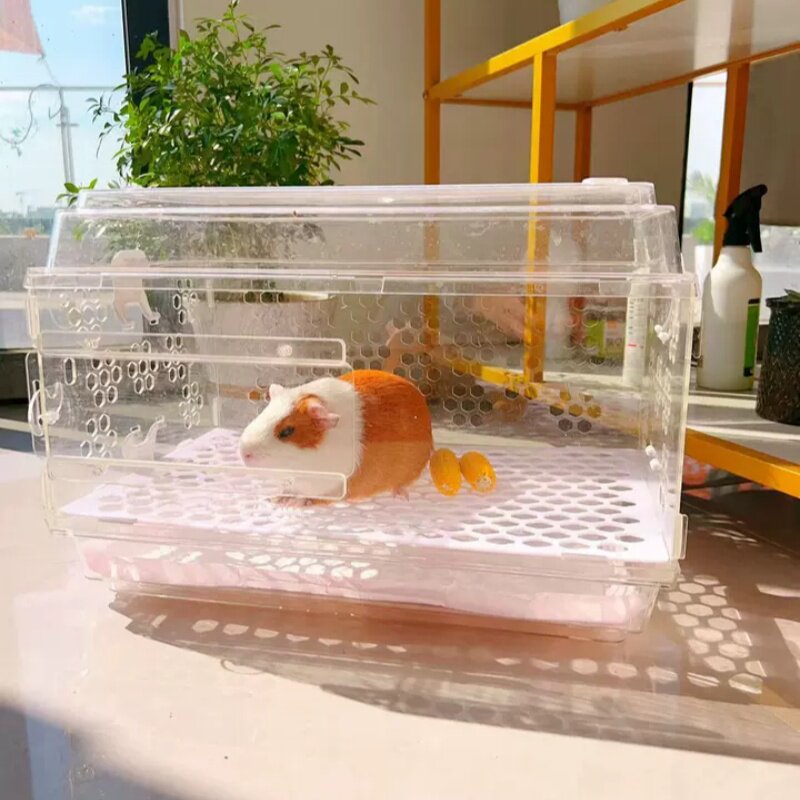 豚鼠笼子饲养箱透明天竺鼠荷兰鼠迷你宠物用品荷兰猪箱子套餐