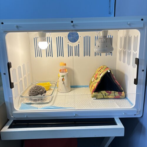 组格刺猬饲养箱透明亚克力恒温笼