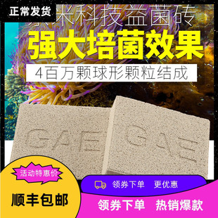 台湾GAE奈米益菌砖方砖淡海水缸除NO3超能细菌屋过滤材料神砖滤材