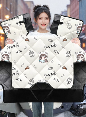 适用雅迪OWIN电动车冬季挡风被加绒加厚冬天冬款电摩防风罩防寒