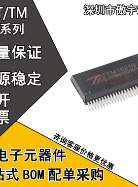 HT1621 HT1621B TM1621B TM1721 TM1727 贴片 SSOP-48 驱动芯片IC