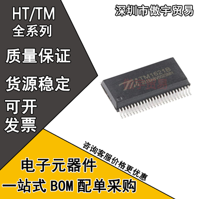 HT1621 HT1621B TM1621B TM1721 TM1727 贴片 SSOP-48 驱动芯片IC