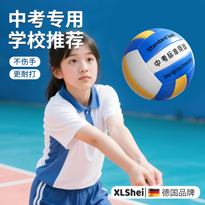 【中考专用】排球初中生标准用球