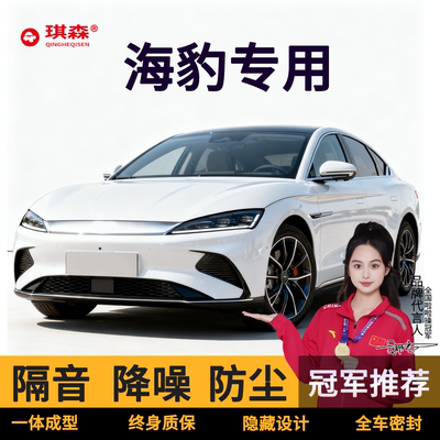 比亚迪海豹06dmi汽车密封条