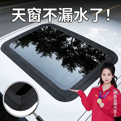 汽车天窗玻璃防雨防进水密封条
