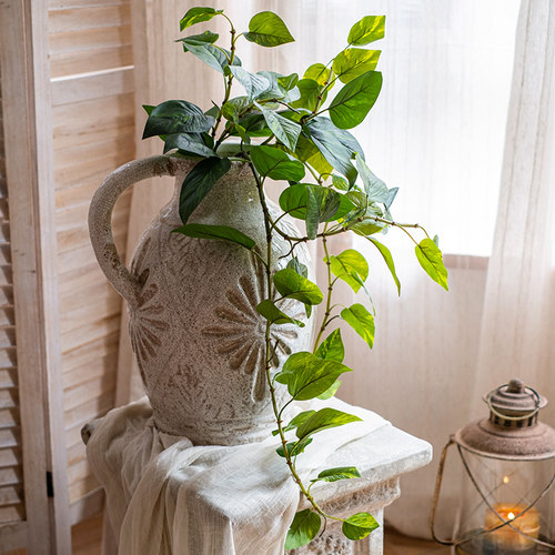 掬涵黄金葛藤条绿植吊兰森系花材
