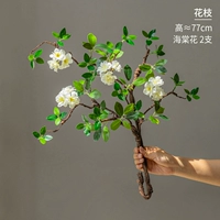 2 цветка бегонии