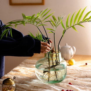 掬涵仿真植物水竹叶带根须蕨类植绿植假花热带雨林装 饰森系造景