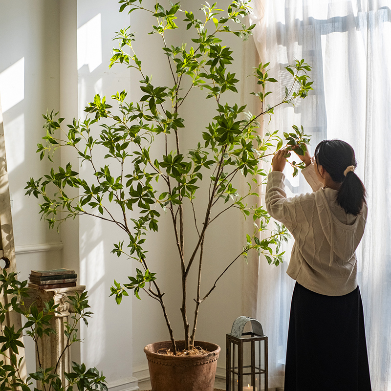 掬涵仿真绿植小叶吊钟仿生植物马醉木室内装饰造景客厅假树落地-封面