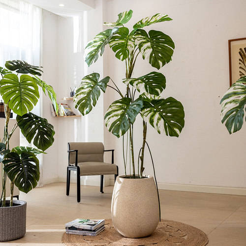 掬涵复古仿真绿植室内客厅造景