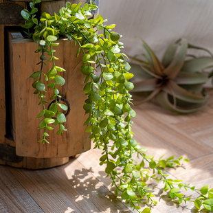 掬涵仿真植物小叶垂蕨垂吊绿植藤蔓长条花艺壁挂装 饰吊兰造景