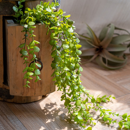 掬涵小叶垂吊藤蔓长条仿真植物