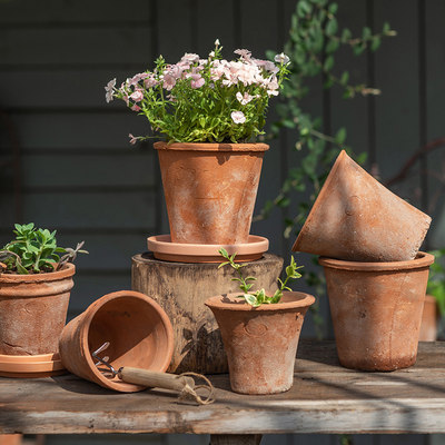 红陶花盆透气养根简约