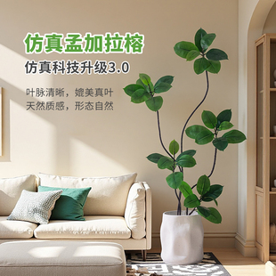 掬涵北欧仿真绿植孟加拉榕盆栽室内客厅盆景摆件仿生植物造景装饰