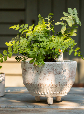 掬涵三脚陶土花盆多肉盆绿植盆家用大口径创意粗陶透气做旧花器