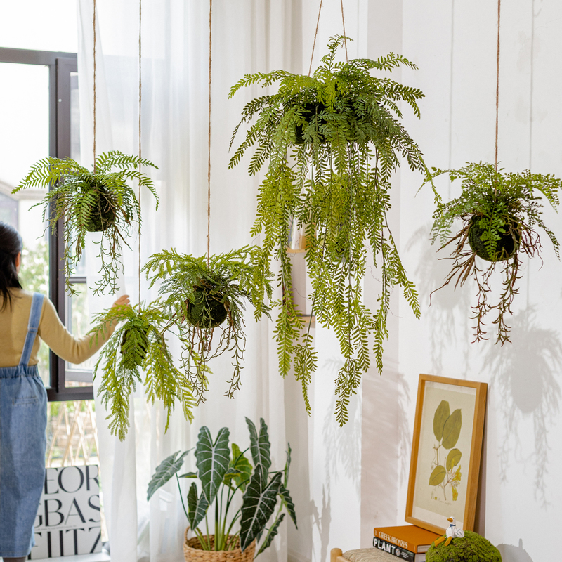 仿真蕨类植物吊球吊饰掬涵装饰