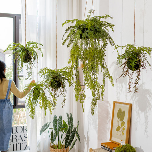 仿真蕨类植物吊球吊饰掬涵装饰
