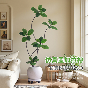 掬涵仿真绿植孟加拉榕盆栽高端轻奢客厅玄关落地装饰仿生植物假树