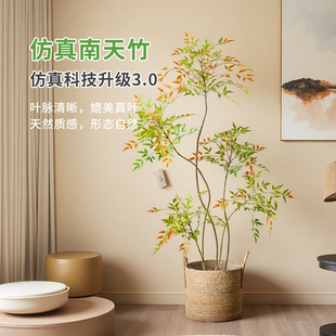 掬涵仿真绿植彩色南天竹客厅卧室落地仿生植物假盆栽摆件室内装饰