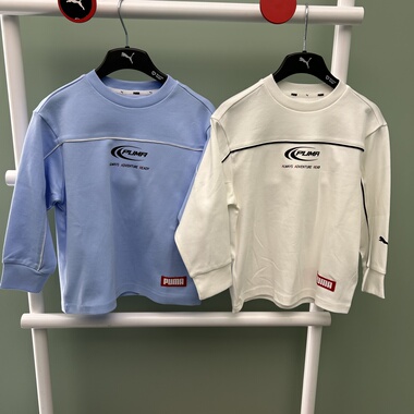 PUMA彪马Sports Long Tee B 儿童简约运动休闲圆领卫衣951085