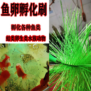 锦鲤产鱼卵孵化草鱼池孵化毛刷水族水产养殖草鱼金鱼繁殖鱼卵鱼巢
