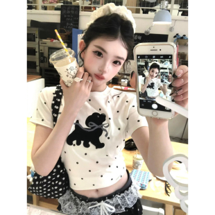 显瘦短款 大码 t恤女夏季 波点小狗正肩短袖 辣妹设计感上衣 胖mm美式
