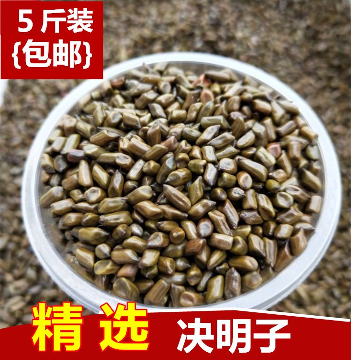中药材决明子 生决明子茶 生决明子装枕头护颈椎散装绝明子 500克