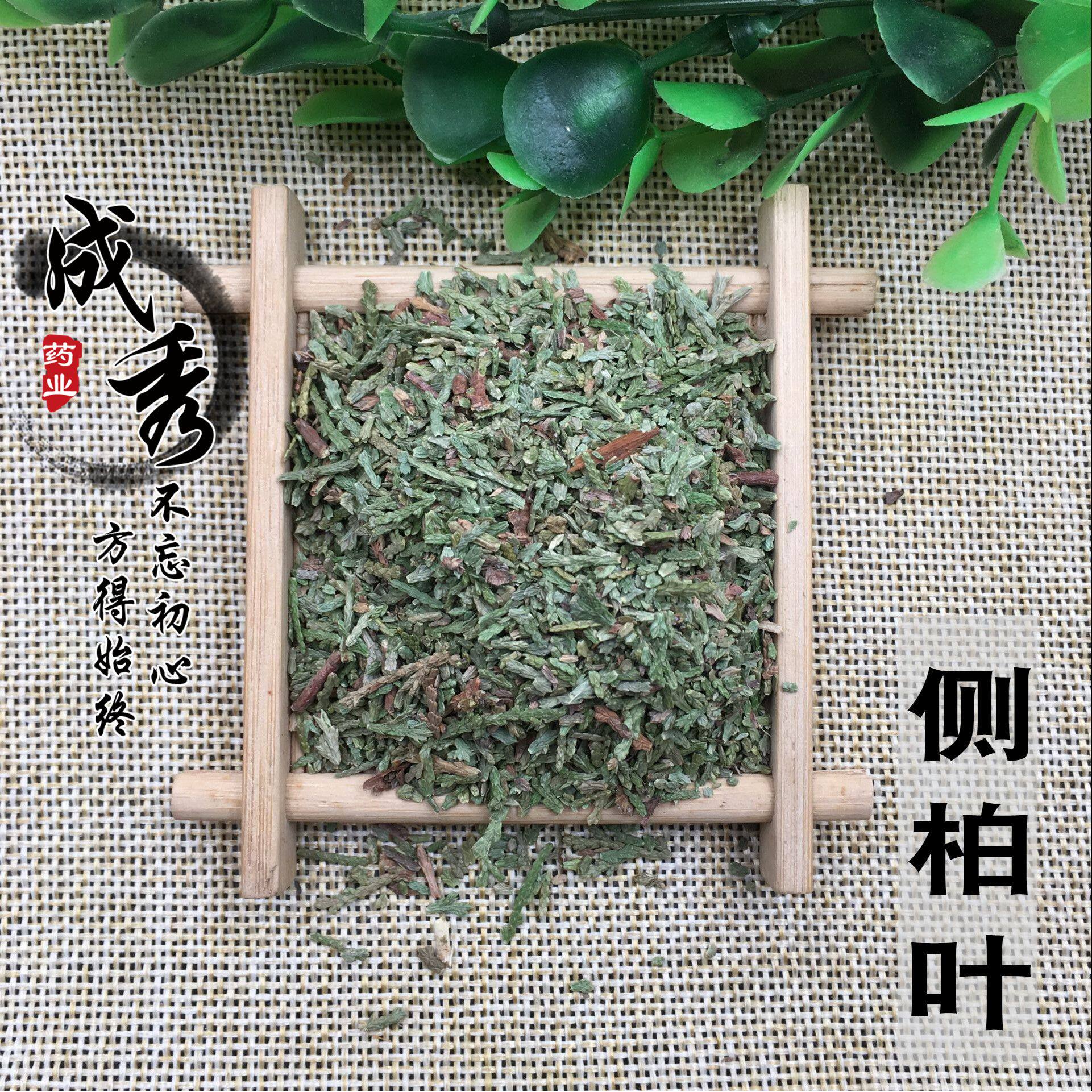 中药材侧柏叶纯天然侧柏叶 煎水洗头养发生发 防脱生黑发 500g