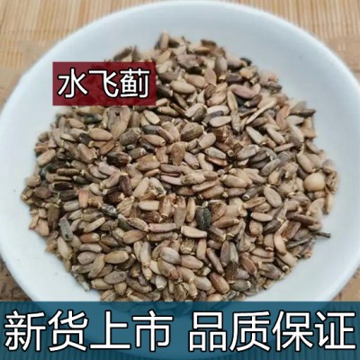 水飞蓟籽水飞蓟中药材水飞蓟子奶蓟种子水飞蓟500克野生新货