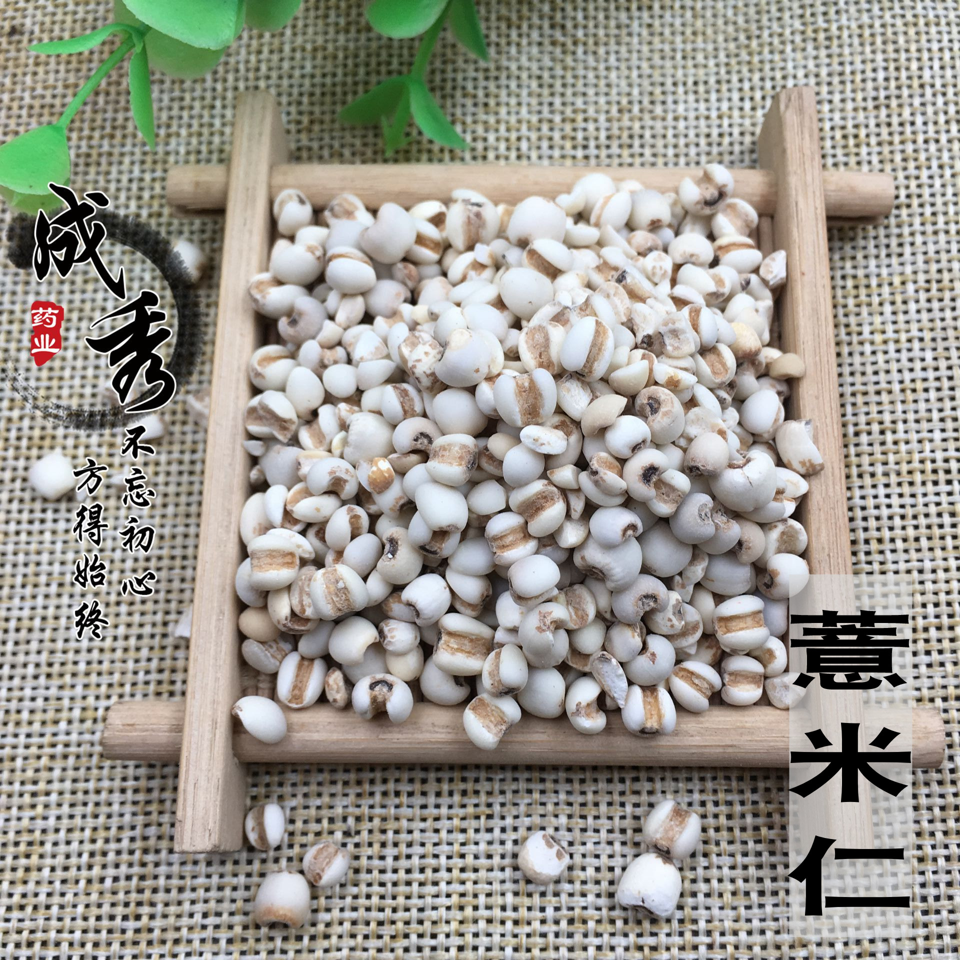 中药材 薏米仁薏苡仁贵州特级薏米仁 500g 包邮新货 杂粮 薏仁