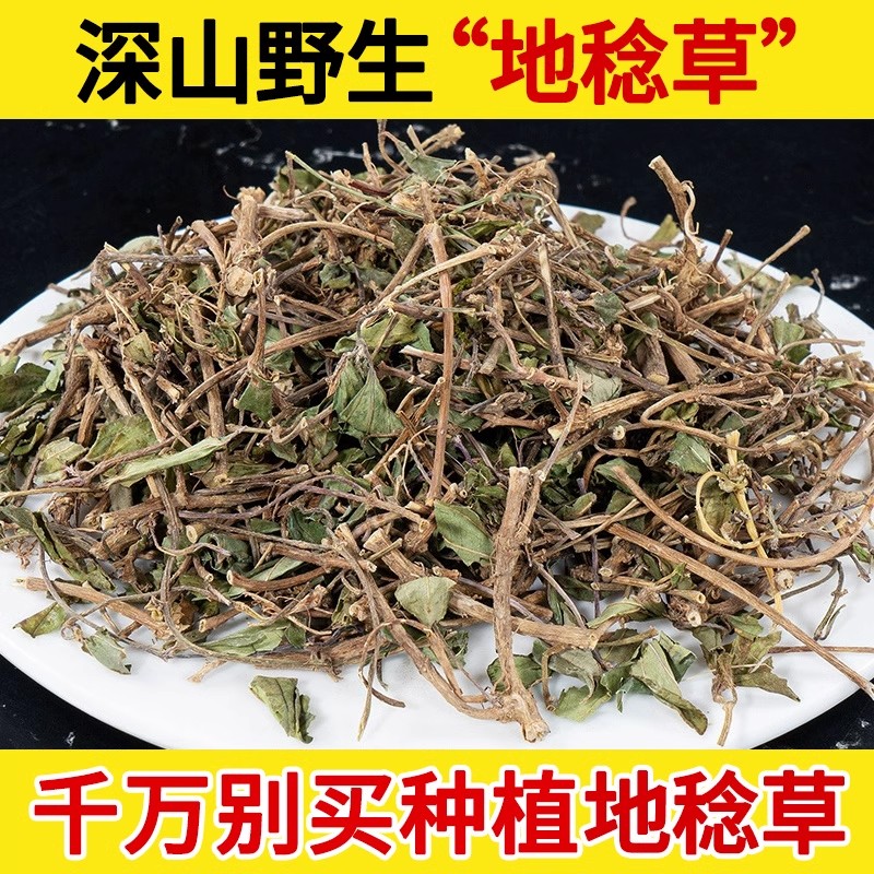 深山野生地稔草中药材500g 地捻草地念草地稔根铺地锦地脚茶地念