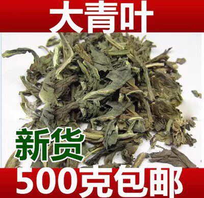 中药材大青叶新货野生包邮