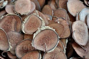 鹿茸片 鹿茸 5克 正品 鹿茸中药材