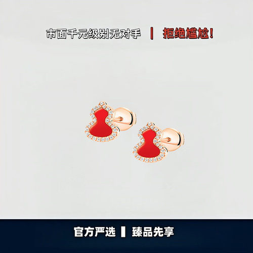 【出入专柜无压力】高版本！