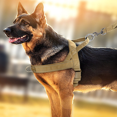 狗狗胸抱婴袋中大型犬背心式牵引绳项圈马犬金毛德牧宠物脖圈遛狗