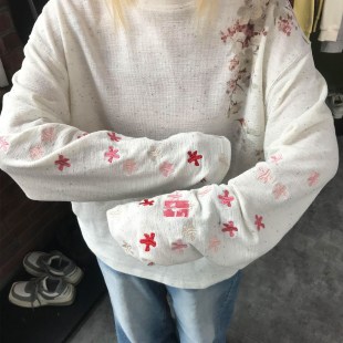 T恤设计感小众圆领 小清新花朵刺绣设计感上衣女装 秋季 新款 长袖