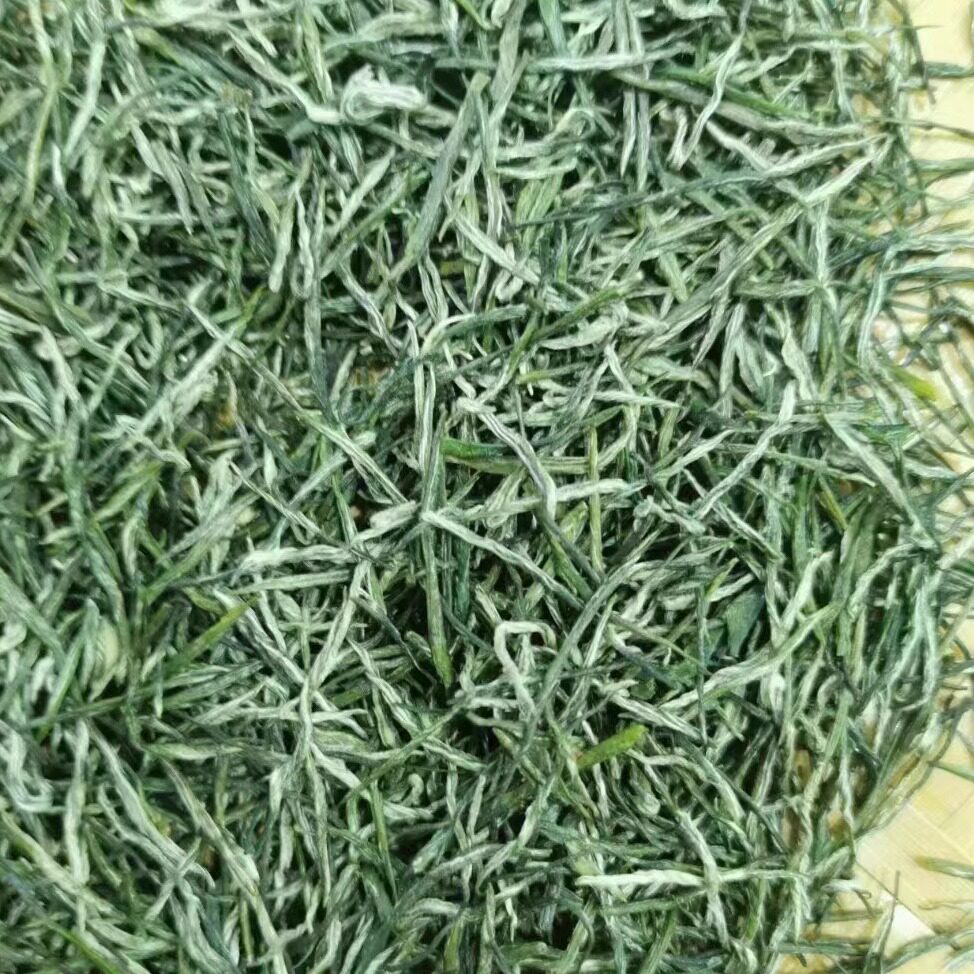 保康茗茶2026新茶襄阳高香茶高山绿茶春茶芽毛尖炒青500g春茶