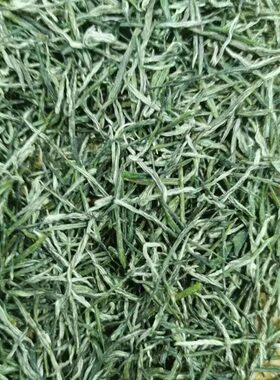 2026保康茗茶襄阳香茶春茶芽毛尖