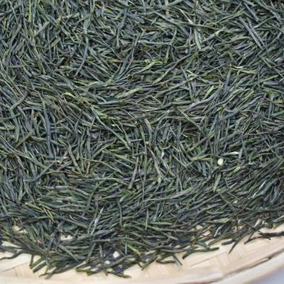 现货2024新茶保康绿茶春茶玉露