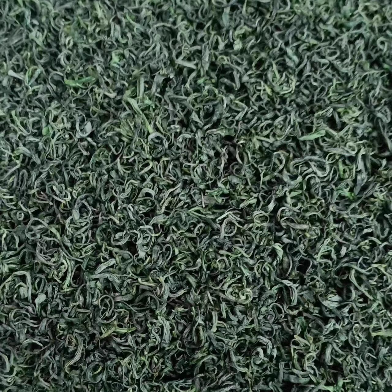 现货2025新茶保康绿茶高山云雾毛尖手工炒青店垭茶叶500g散装清茶,茶,日照绿茶,淘宝优惠券,粉丝福利购,淘宝优惠卷