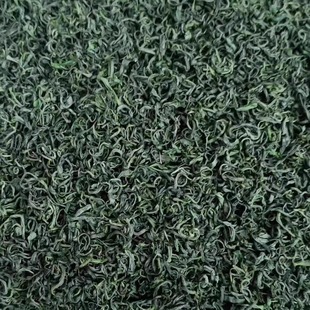 现货2025新茶保康绿茶高山云雾毛尖手工炒青店垭茶叶500g散装清茶